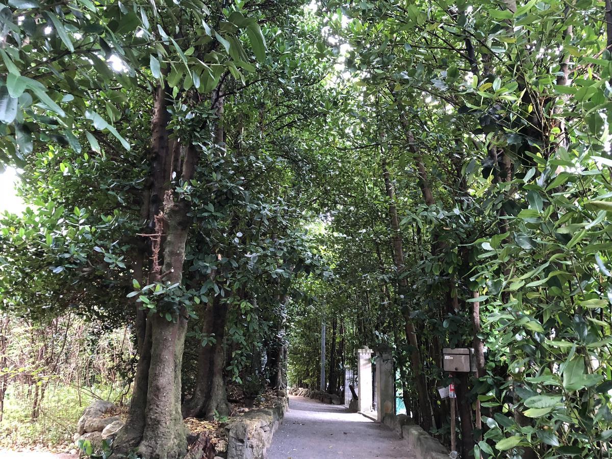 ホテル まんなや～ 本部町 エクステリア 写真
